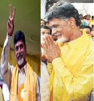 TDP President